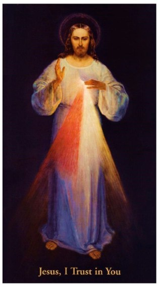 Image 1173 Jul. 01 15.25