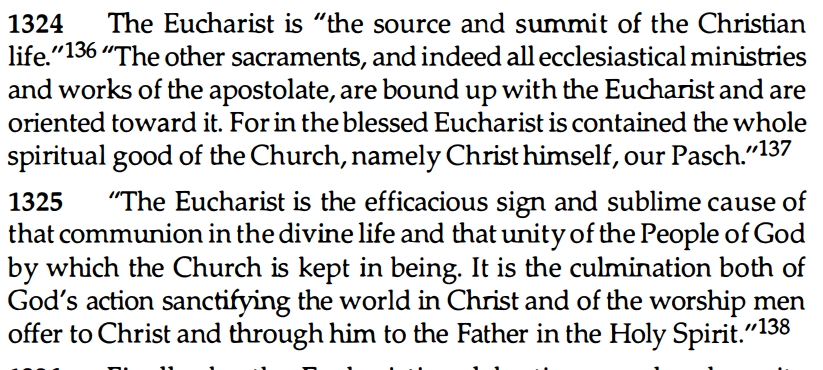 2022-04-07 13_10_48-United States Catholic Conference - Catechism of the Catholic Church-Libreria Ed