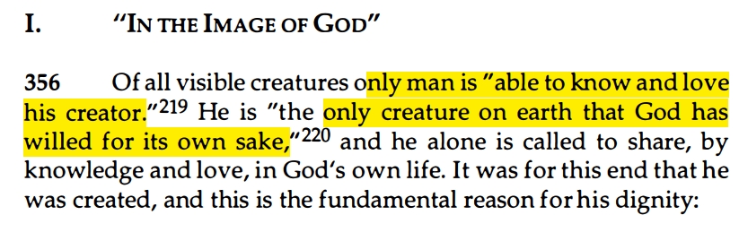 2022-04-10 23_41_33-USCCB Catechism.pdf _ - Foxit PDF Reader